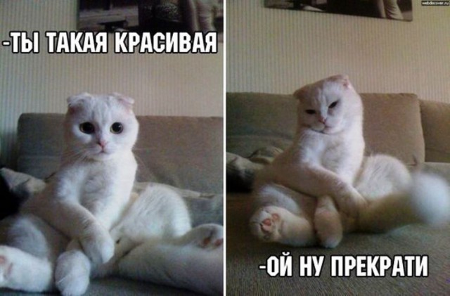 Подборка интересных и веселых картинок