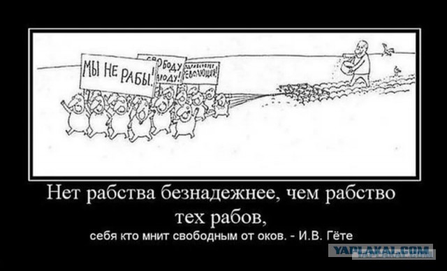 Парковка для ФСБ России