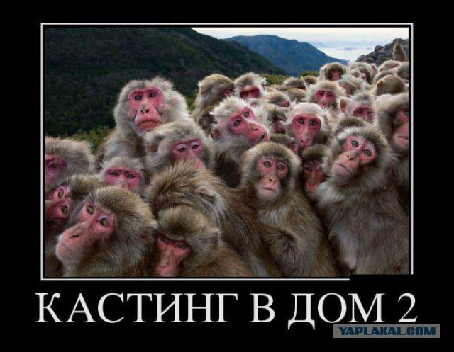 ОМОН пытается разогнать мигрантов в Томске