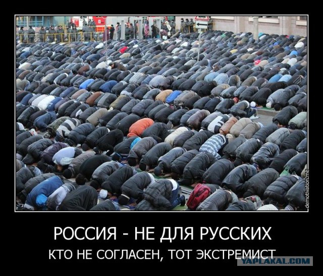 Здравствуй, Душанбе!
