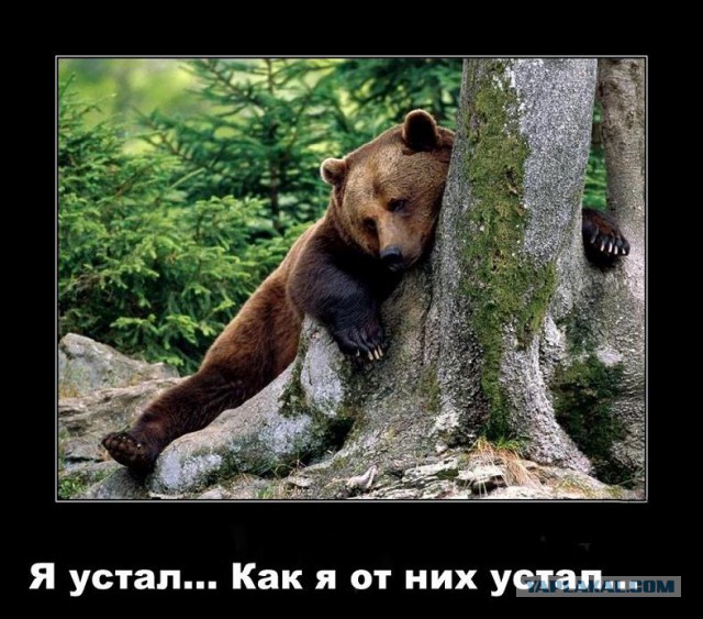 18-летняя красотка искала папика, но нарвалась на мошенника, который её поимел