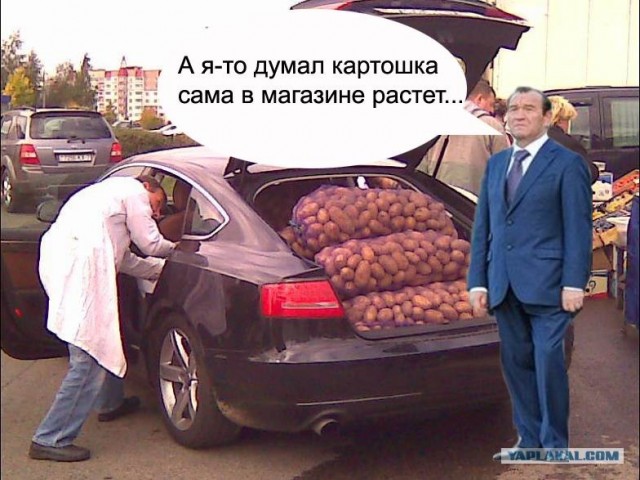 Дефицит картофеля в мире