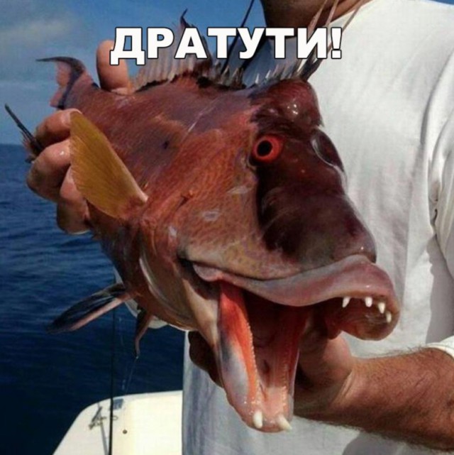 Нестандартный юмор