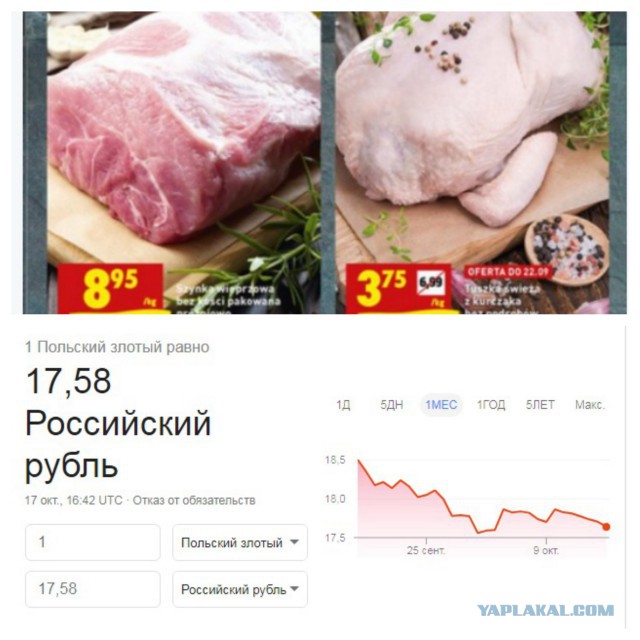 Депутат сел на «министерскую диету» за 3,5 тысячи рублей. Месяц на «макарошках» — это непросто