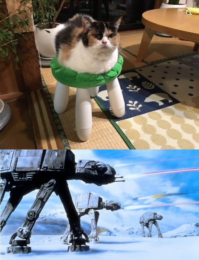 Нестандартный юмор