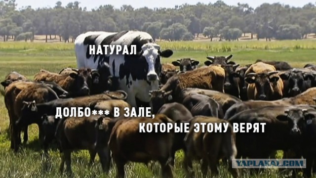 Тёмная радиоволна с последними новостями