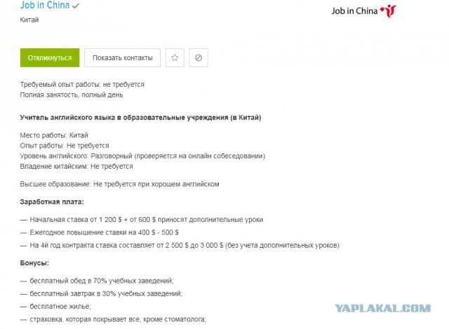 В Екатеринбурге учитель английского предлагает интим за деньги, чтобы заработать на поездку в Китай