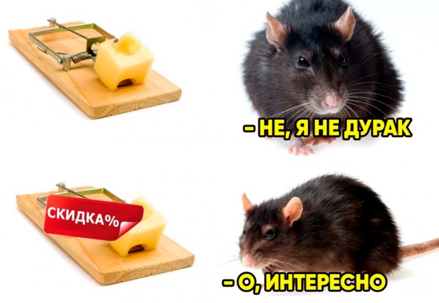 Немного картинок для настроения
