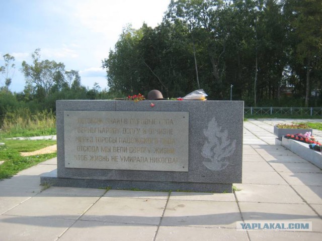 На самолете вокруг Финского залива