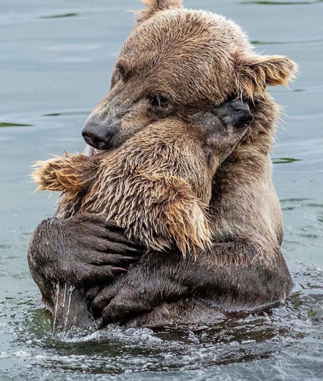 Живность 15.03.20