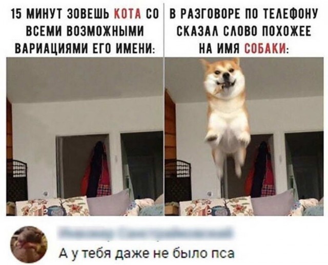 Картинки из рабочего чата 23.04