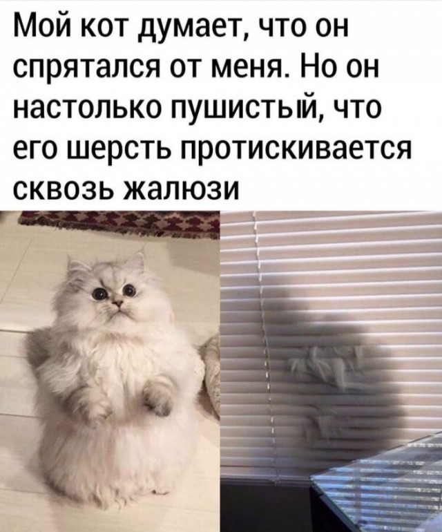 Немного картинок для настроения 27.04.20
