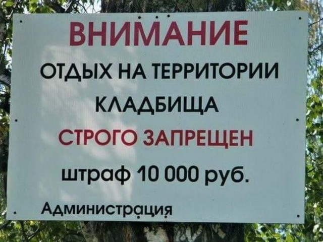 Чуток картинок 21.06.20