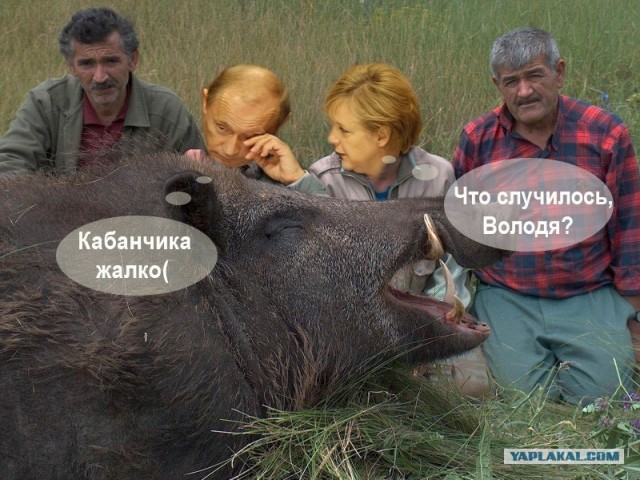 Что случилось, Володя?