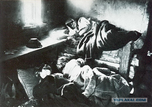 Равенство – опаснейший миф человечества