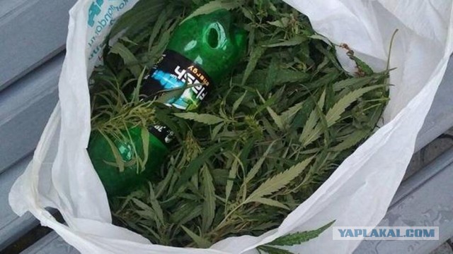 Для чего у астронавтов на груди закреплен пакет?