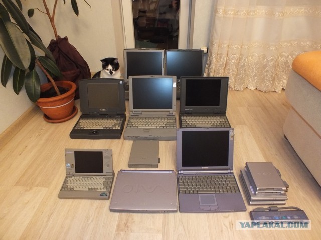 Моя маленькая коллекция ноутбуков