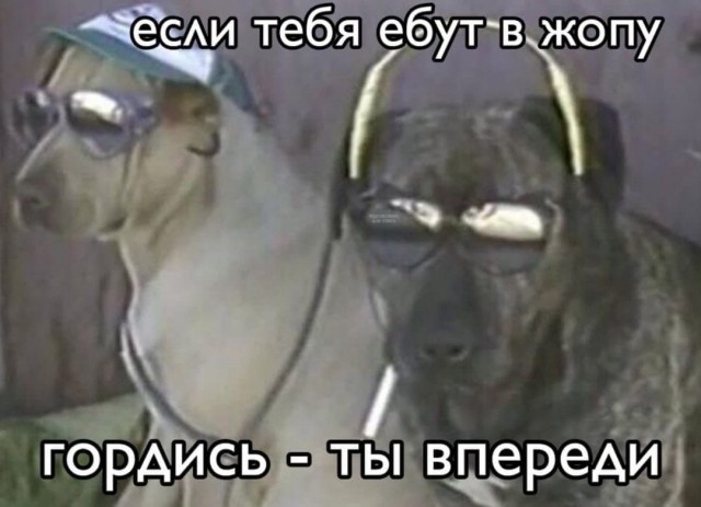 Боянистые и не очень картиночки с тупым йумором