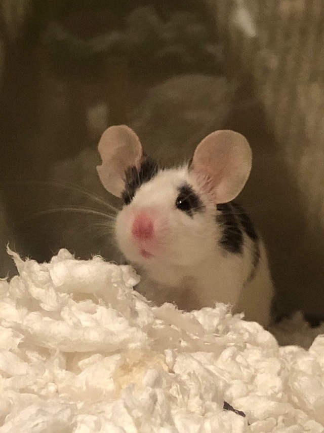 Добрые картинки 28.11.20