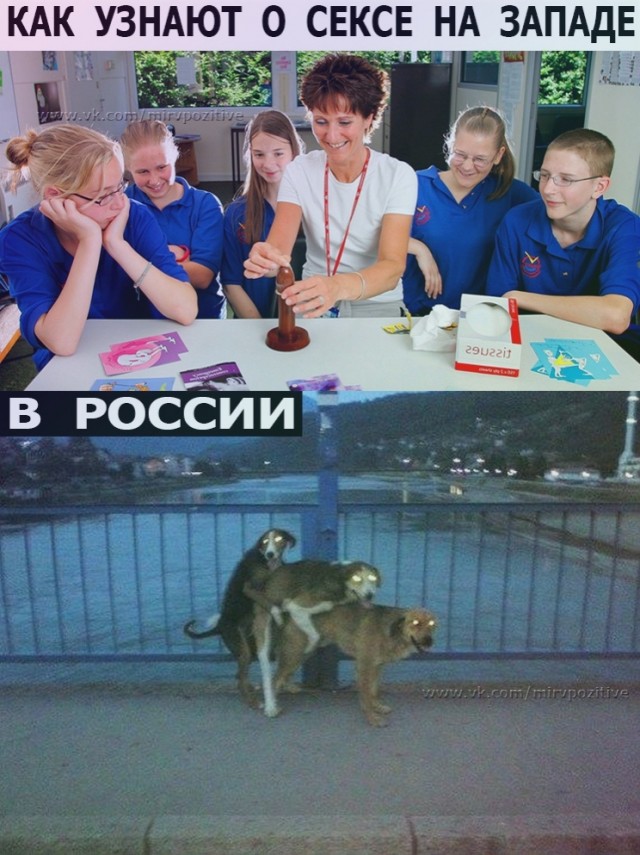 Кретинизмы из ЛМ и ЛЩ 15.03.2021