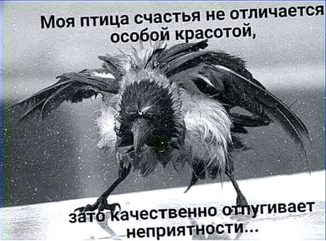 Воскресные картинки