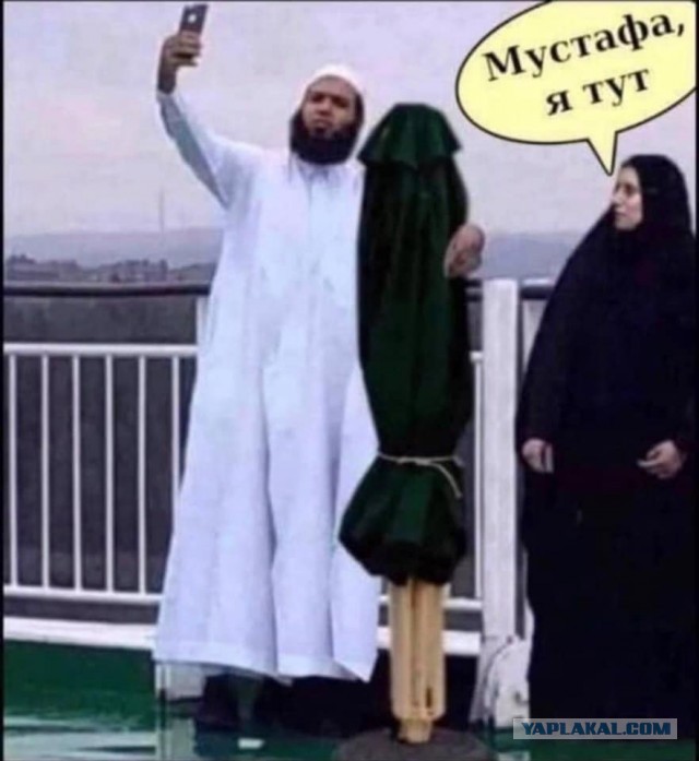 Картинки всякие аморальные - 5