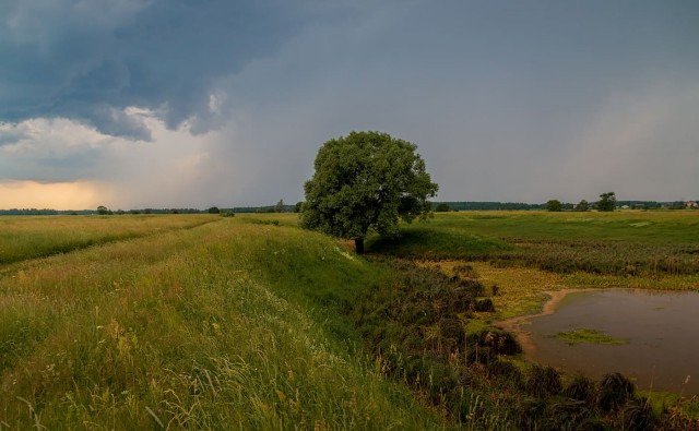 Перед грозой в деревне