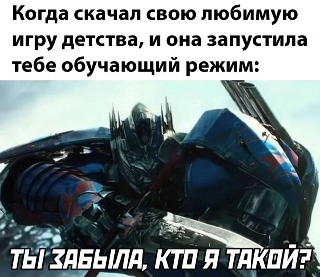 Весёлый полтишок 20.07