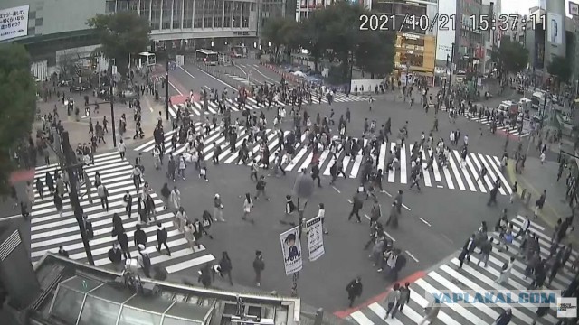 Вопрос по поводу всем надоевшего вируса. Я в раздумьях