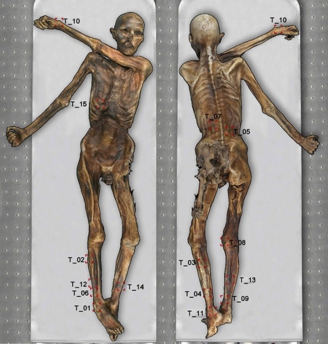 Этци и фрау Симон, 1991 год, Тироль, граница Австрии и Италии