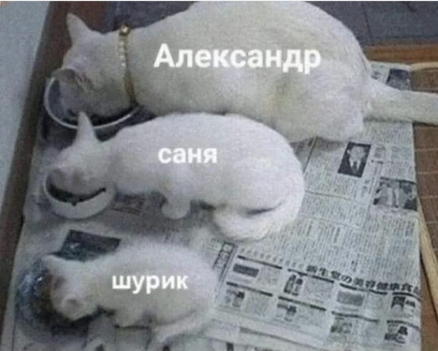 Картинки и мемы, всем прекрасных выходных