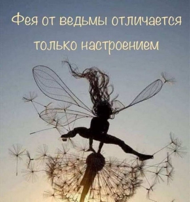 Картинки и мемы для настроения 13.12.2021