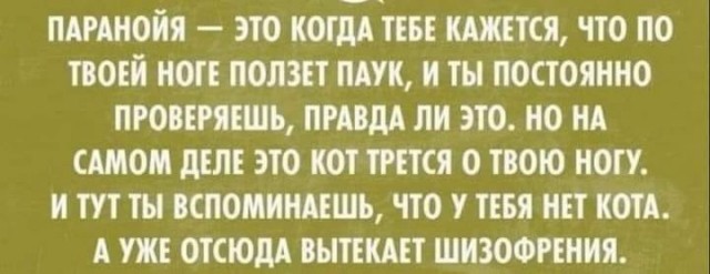Воскресная Хня вам в ленту, дорогие деграданты