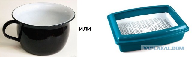 Знатоки тут есть?