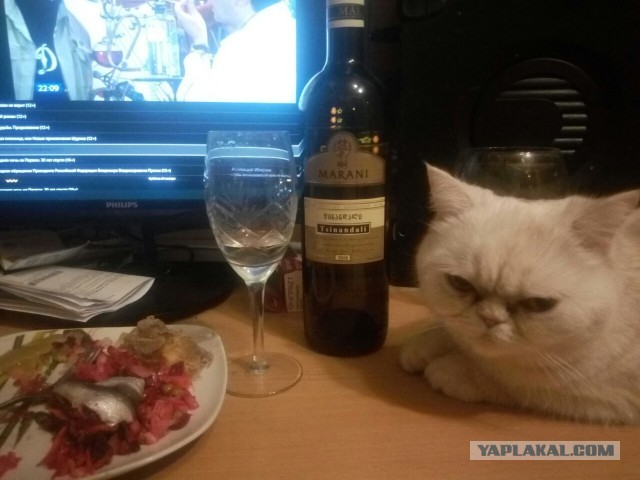 Хвастаемся столами?