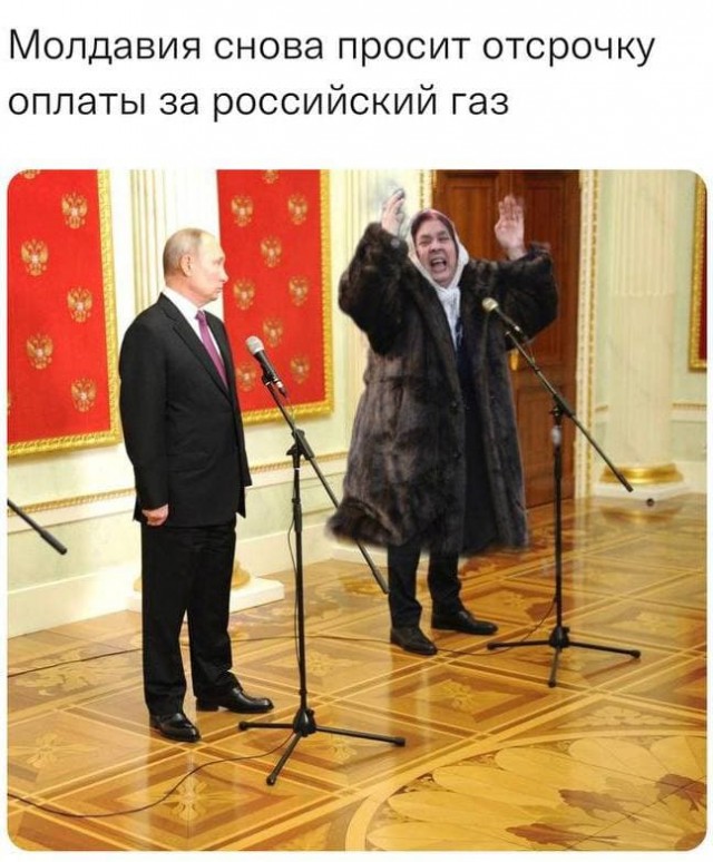 Весёлый полтишок 17.01