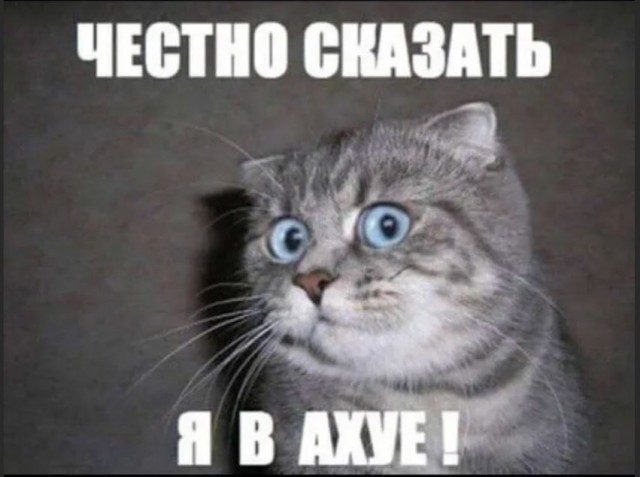 Путин предложил Думе переназначить Набиуллину на пост главы ЦБ
