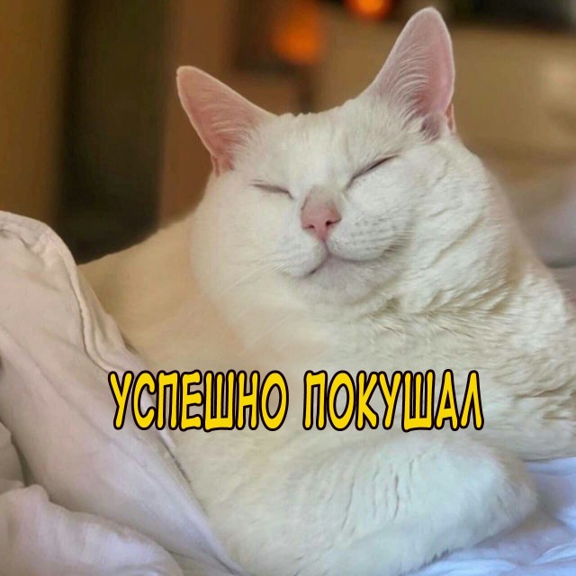 Юмор из Сети 20.06.22