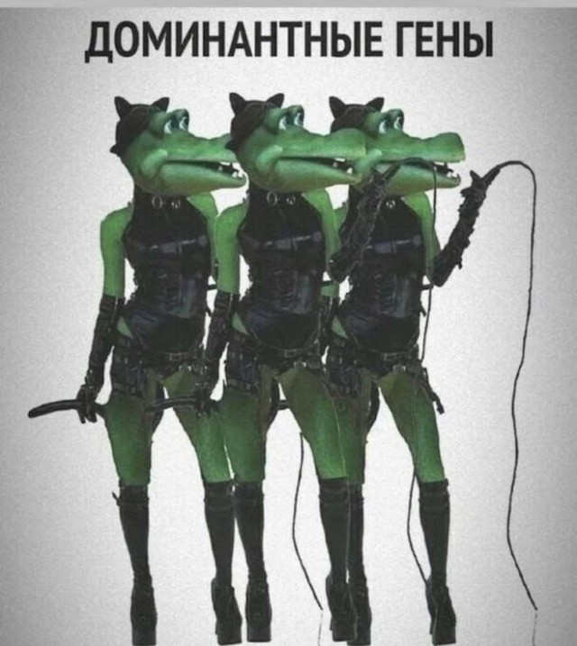 Картинки и мемы для настроения - 17