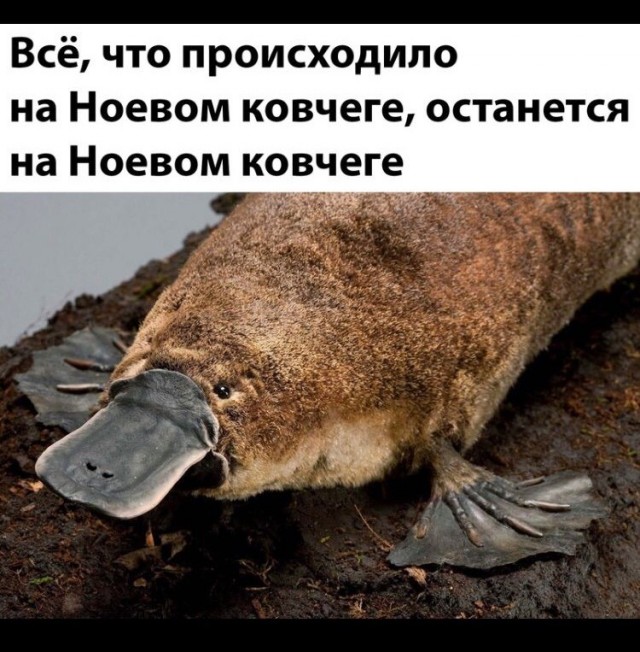 Прикольные и просто красивые картинки 25.11.2022