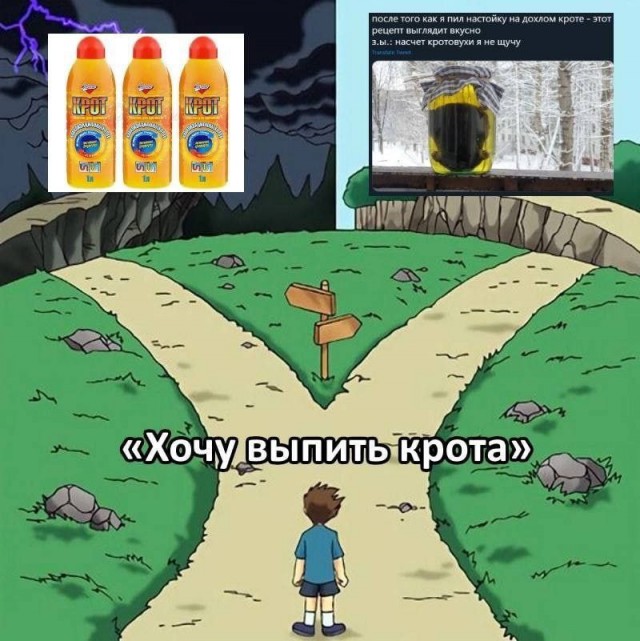 Мемы про кротовуху