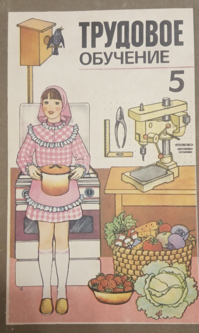 Трудовое обучение 5 класс 1985 год