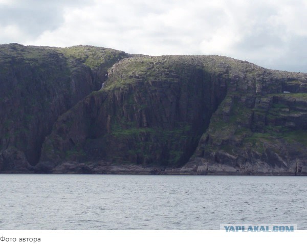Беглецы или с Севером не шутят...