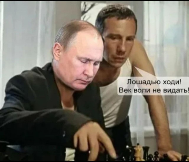 Республика Тыва передаст в войска РФ 3 000 лошадей