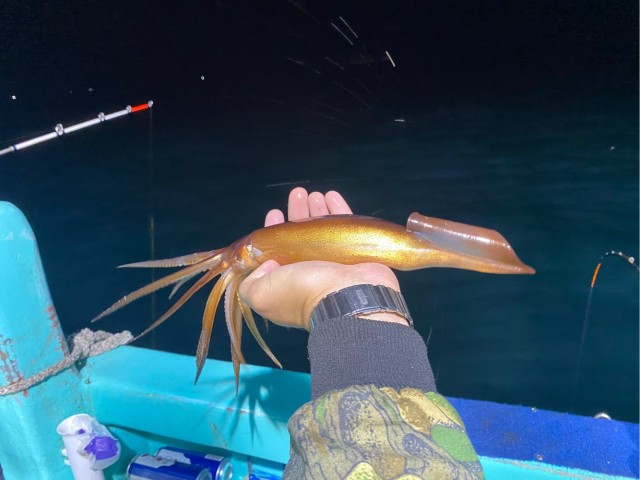 Очередной выход в море