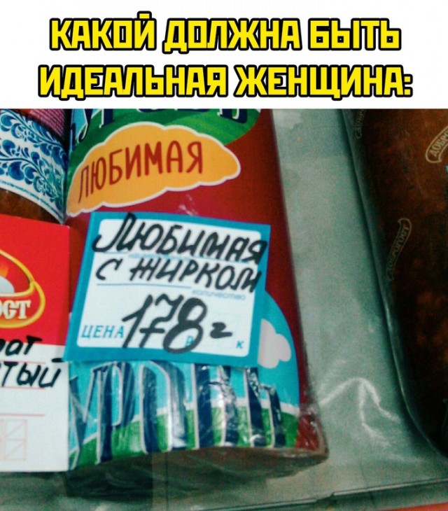 Весёлый полтишок 15.09.23