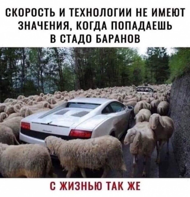 — Это мой земля