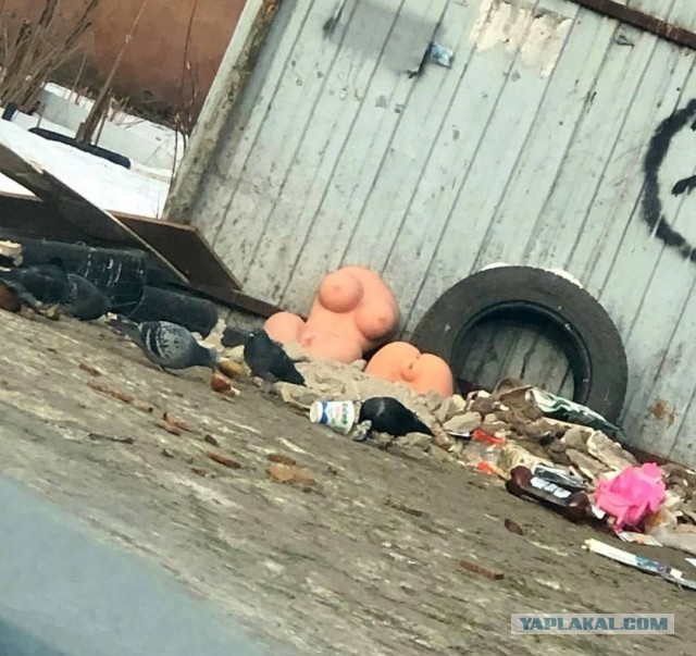 Юмор в картинках и без