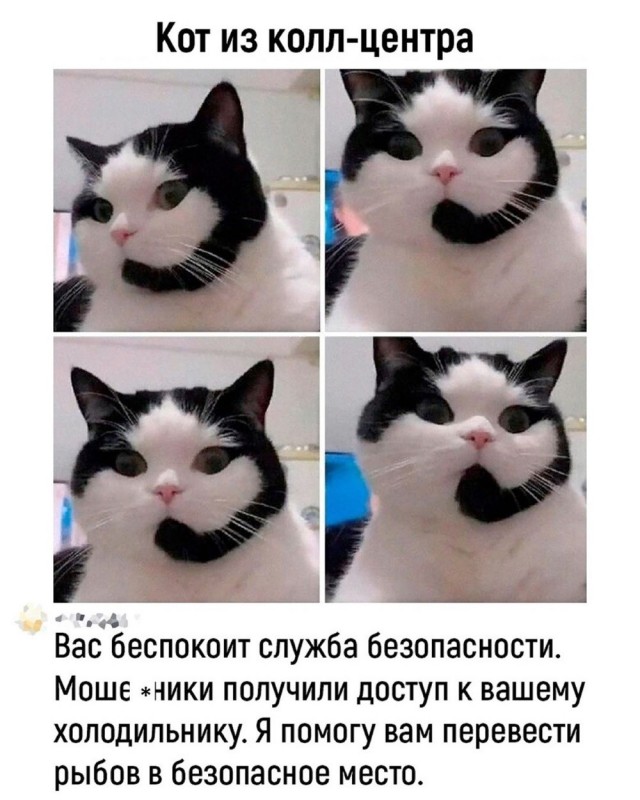 Отряд быстрого деградирования. Номер 20
