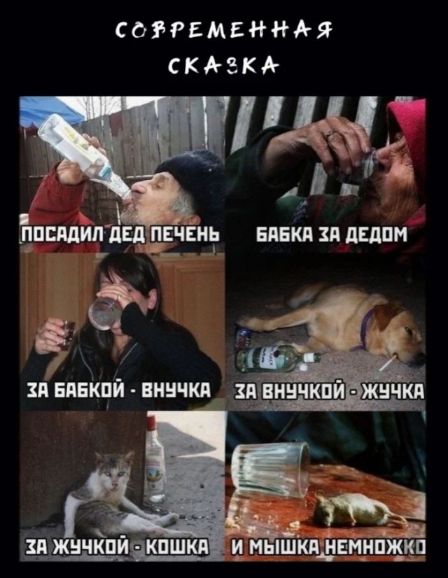 Заметки начинающего алкоголика